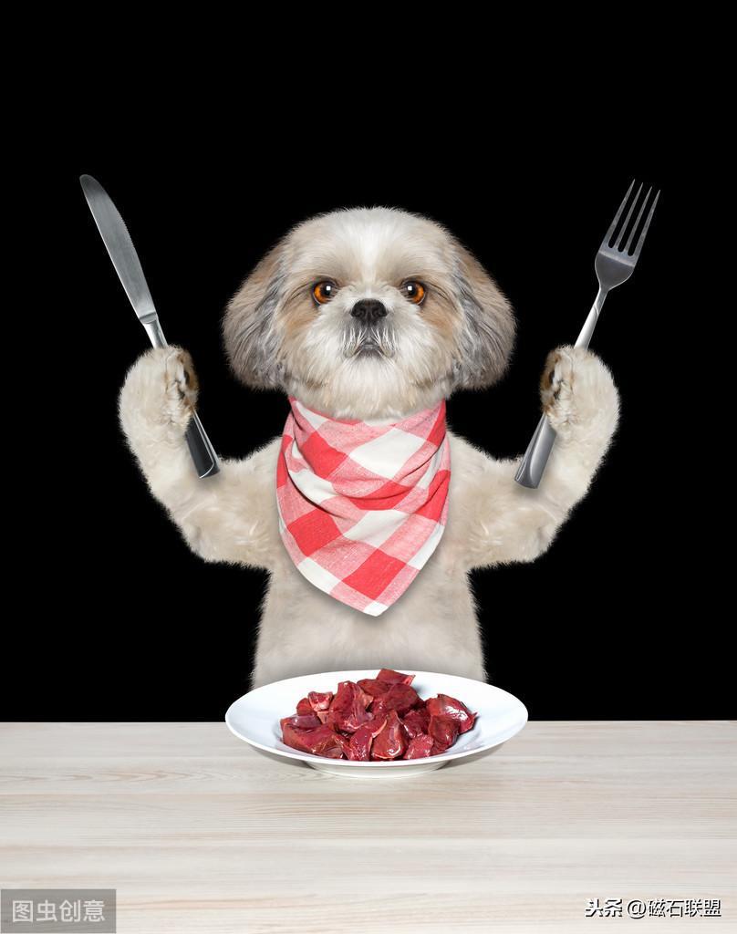 当狗狗误食有毒食物怎么办？有什么急救方法？