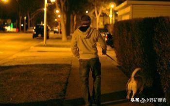 什么时间适合遛狗?适合遛狗的5个最佳时间,铲屎官们学习一下 什么时间适合遛狗?适合遛狗的5个最佳时间,铲屎官们学习一下