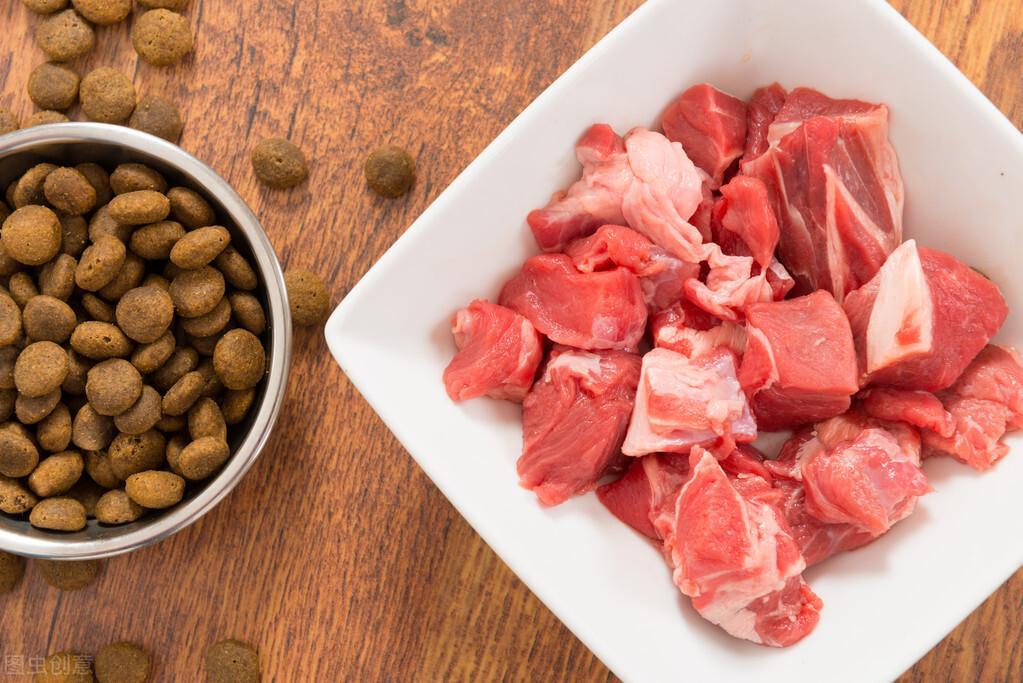 你家狗狗最爱吃什么食物？这6种辅食拌狗粮，能让狗狗食欲大增