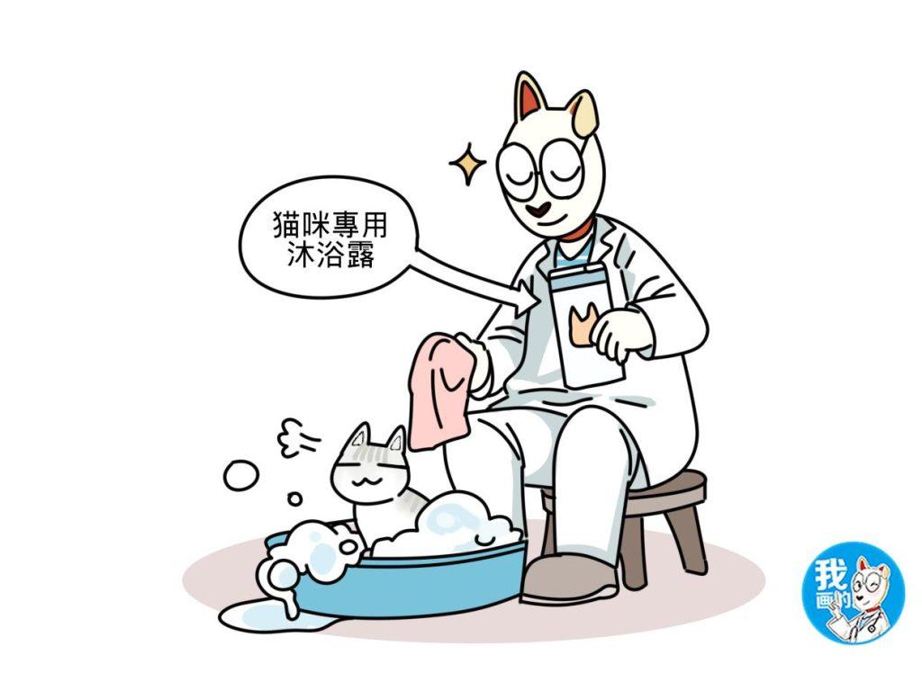 猫咪爱蹭主人是在撒娇吗?猫癣可不能忽视了 猫咪爱蹭主人是在撒娇吗?猫癣可不能忽视了