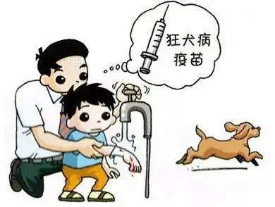 狗咬伤怎么处理伤口?狗咬伤的自我早期防护处理 狗咬伤怎么处理伤口?狗咬伤的自我早期防护处理
