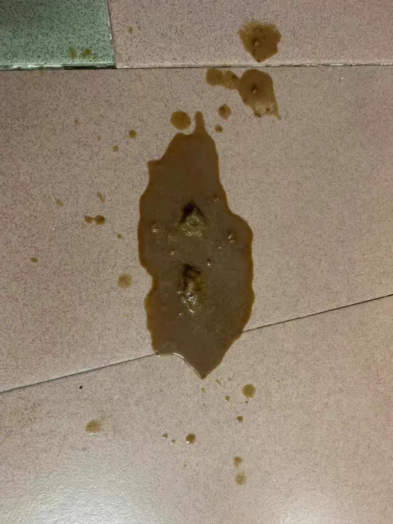 分享猫呕吐的原因及解决办法,轻松应对猫咪呕吐的问题 分享猫呕吐的原因及解决办法,轻松应对猫咪呕吐的问题