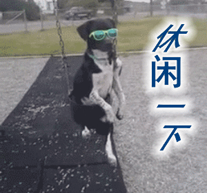 推荐几种很好打理的短毛犬,不用考虑打理毛发问题,太容易养了! 推荐几种很好打理的短毛犬,不用考虑打理毛发问题,太容易养了!