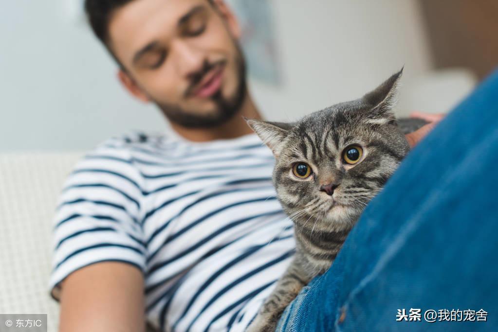 古人说男不养猫女不养狗,这是为什么? 古人说男不养猫女不养狗,这是为什么?
