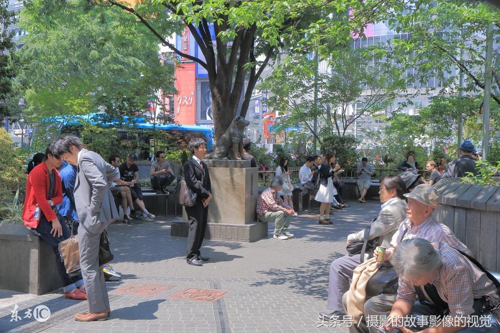 你喜欢养狗吗？农村的中华田园犬20元一只，你愿意买吗？
