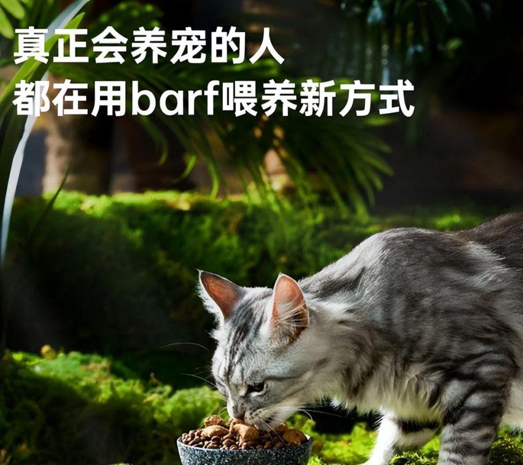 一个月大的小猫能不能吃猫粮？饲养技巧揭秘！