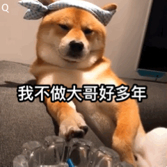 狗狗是最忠诚的动物,但狗狗为何忠诚?这些原因,可能有一半你都不了解 狗狗是最忠诚的动物,但狗狗为何忠诚?这些原因,可能有一半你都不了解