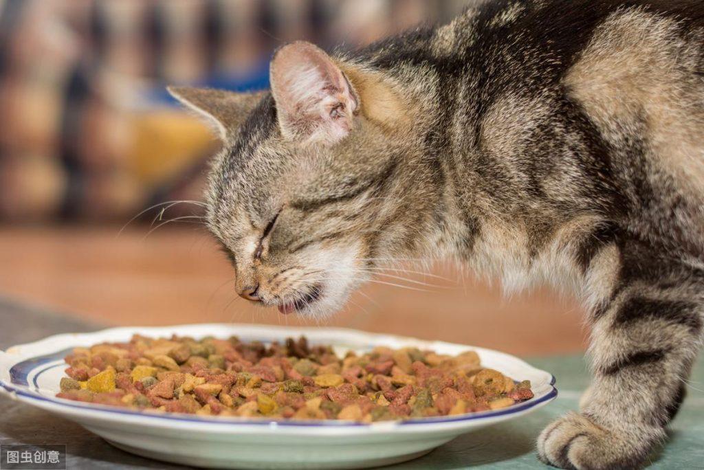猫咪零食如何选择，常见的9款猫咪零食，看一下你的选择合适吗？
