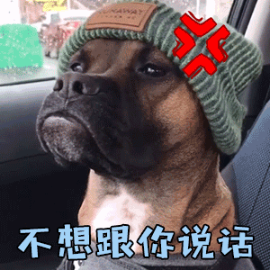 你家狗狗,性格怎么样呀?狗狗生气时会有这7个表现,你见过几种? 你家狗狗,性格怎么样呀?狗狗生气时会有这7个表现,你见过几种?
