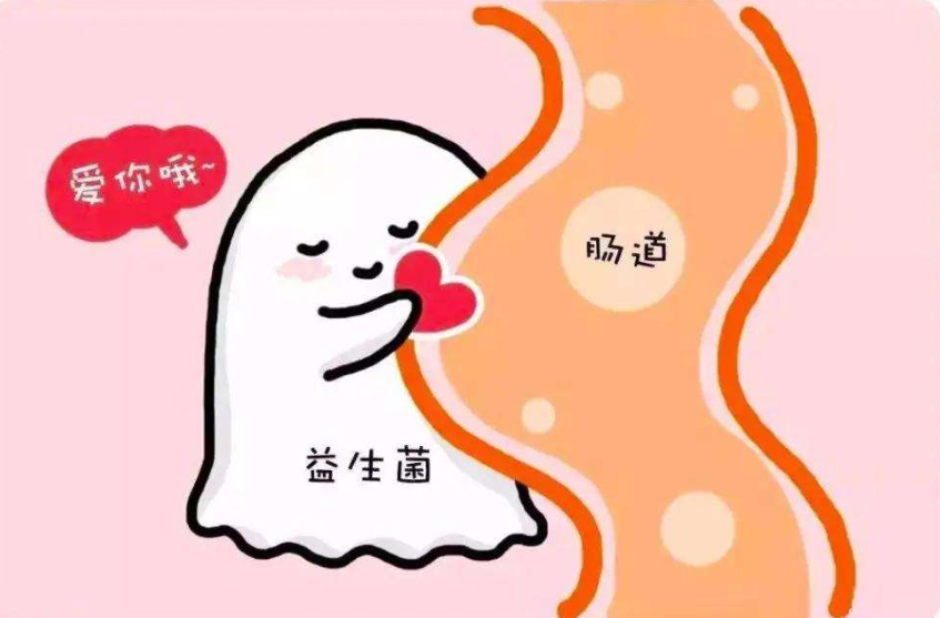 狗狗益生菌什么牌子好?什么样的益生菌比较好? 狗狗益生菌什么牌子好?什么样的益生菌比较好?
