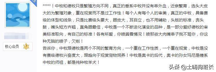 你知道什么是锤系德国牧羊犬吗？出色的警犬