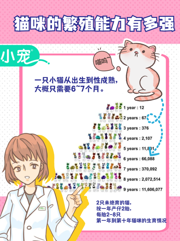 你有做过伤害猫咪的事情吗?以下8条看看你中了几条? 你有做过伤害猫咪的事情吗?以下8条看看你中了几条?
