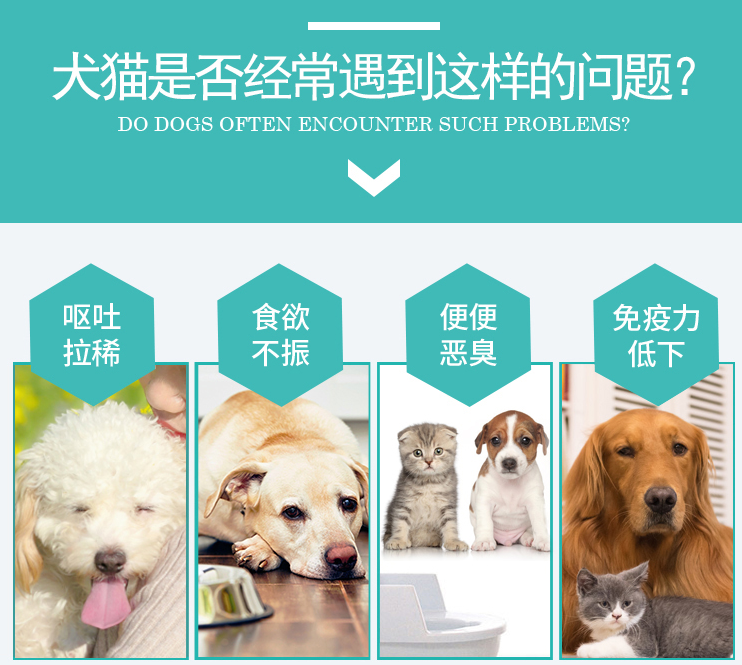 狗狗益生菌什么牌子好?什么样的益生菌比较好? 狗狗益生菌什么牌子好?什么样的益生菌比较好?