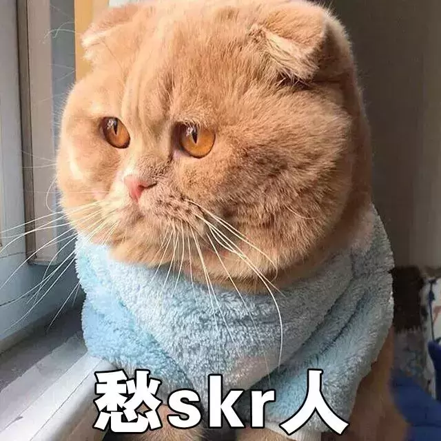 猫咪该如何托运？猫咪可以快递吗？如何办理火车托运？