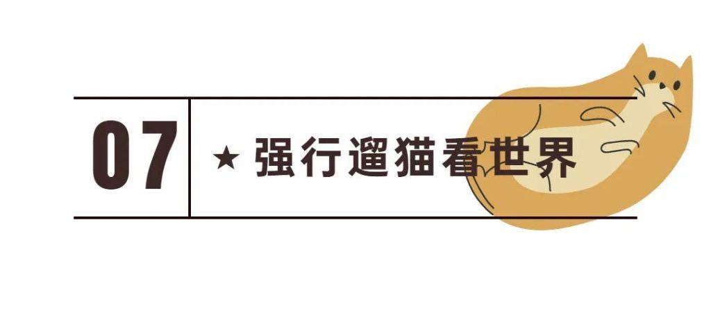 你有做过伤害猫咪的事情吗?以下8条看看你中了几条? 你有做过伤害猫咪的事情吗?以下8条看看你中了几条?