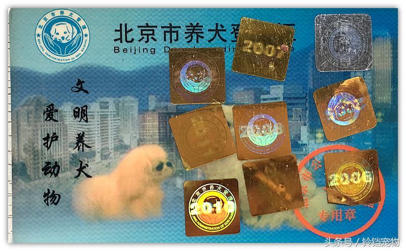 在北京怎么给狗狗上户口？解读北京市有关养犬的条例规定