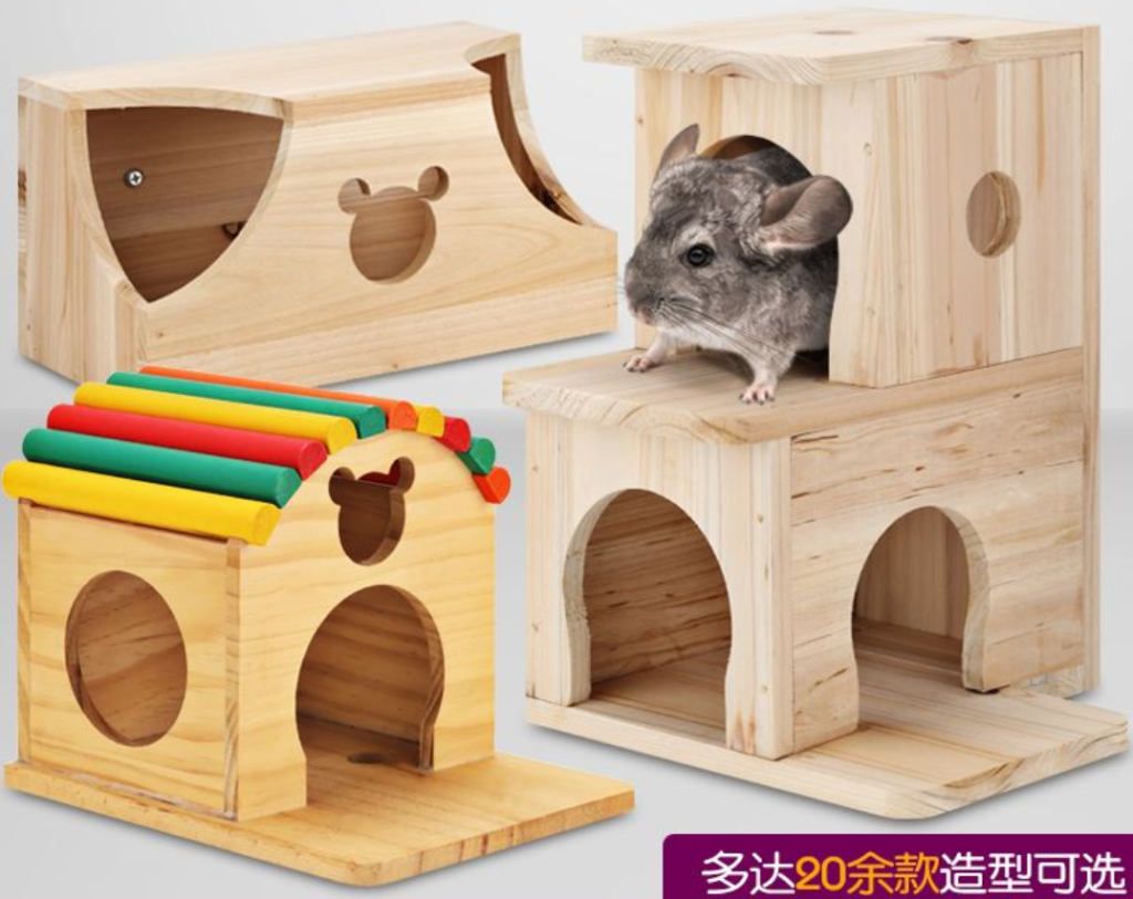 想要饲养龙猫的话需要准备些什么？龙猫的饲养注意事项