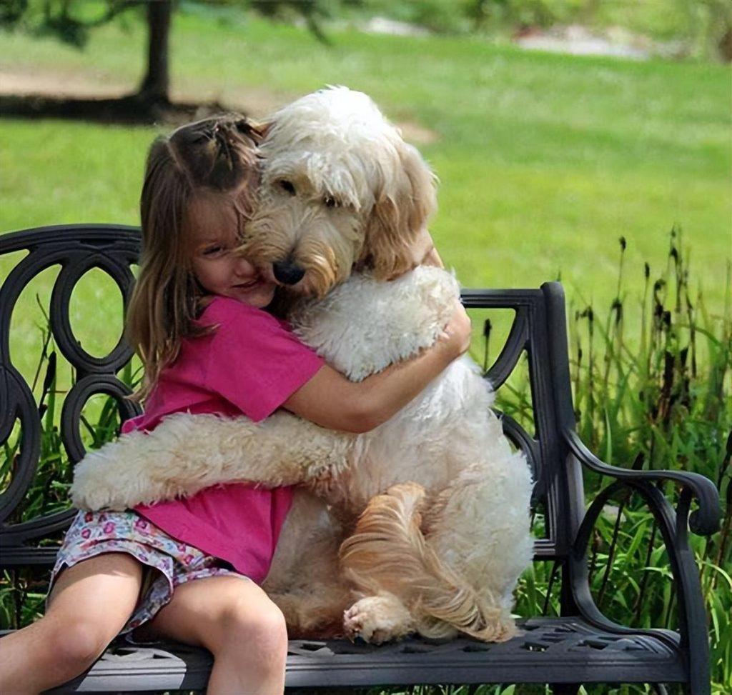 狗狗是最忠诚的动物，但狗狗为何忠诚？这些原因，可能有一半你都不了解
