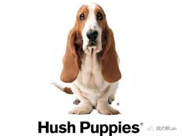 那个可怜兮兮的巴吉度猎犬,我可以养吗?它的叫声很好听 那个可怜兮兮的巴吉度猎犬,我可以养吗?它的叫声很好听