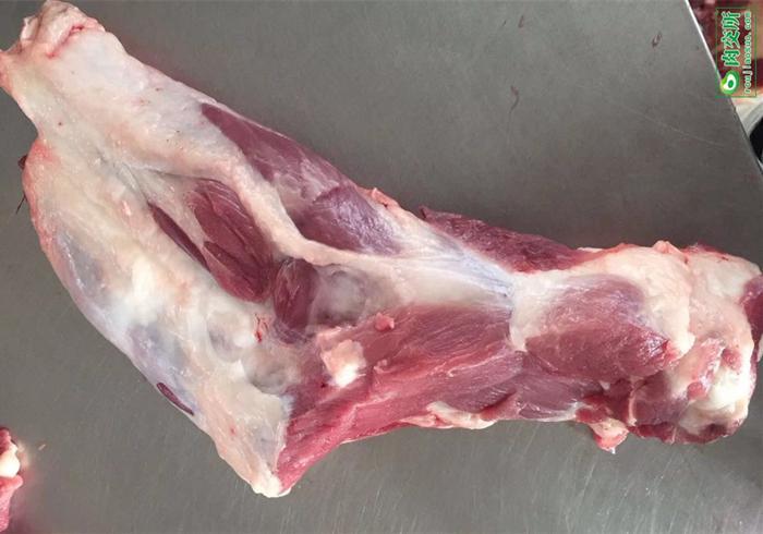 给猫咪补钙最错误的是什么?吃生肉的猫咪不补钙才会受伤害 给猫咪补钙最错误的是什么?吃生肉的猫咪不补钙才会受伤害
