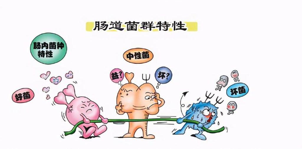 狗狗益生菌什么牌子好?什么样的益生菌比较好? 狗狗益生菌什么牌子好?什么样的益生菌比较好?