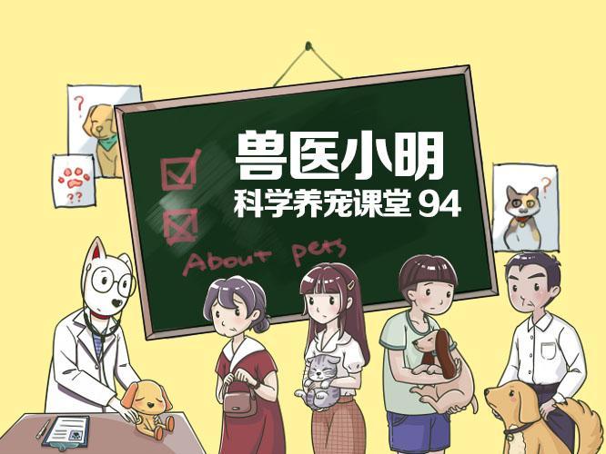 狗狗总是精力充沛,强行增加运动行不通可能会导致狗狗生病 狗狗总是精力充沛,强行增加运动行不通可能会导致狗狗生病