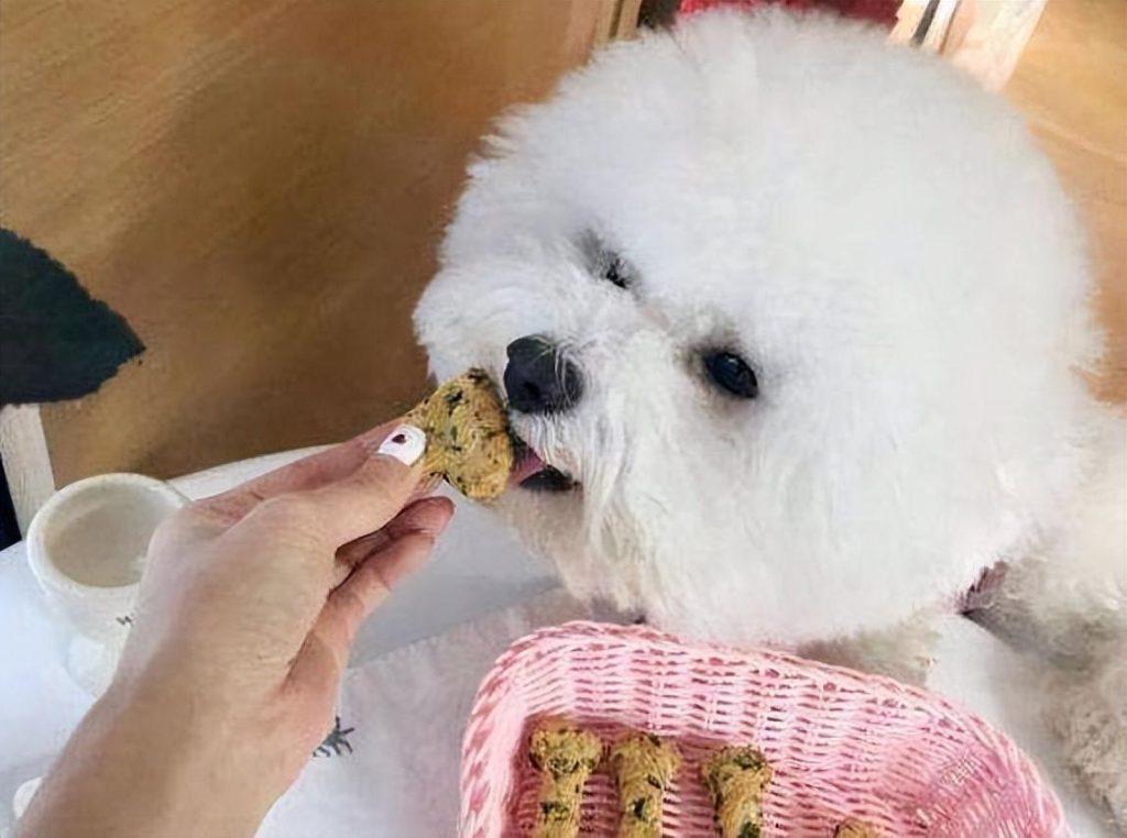 你是不是招狗狗喜欢的人呢?大多数人都是第5种 你是不是招狗狗喜欢的人呢?大多数人都是第5种