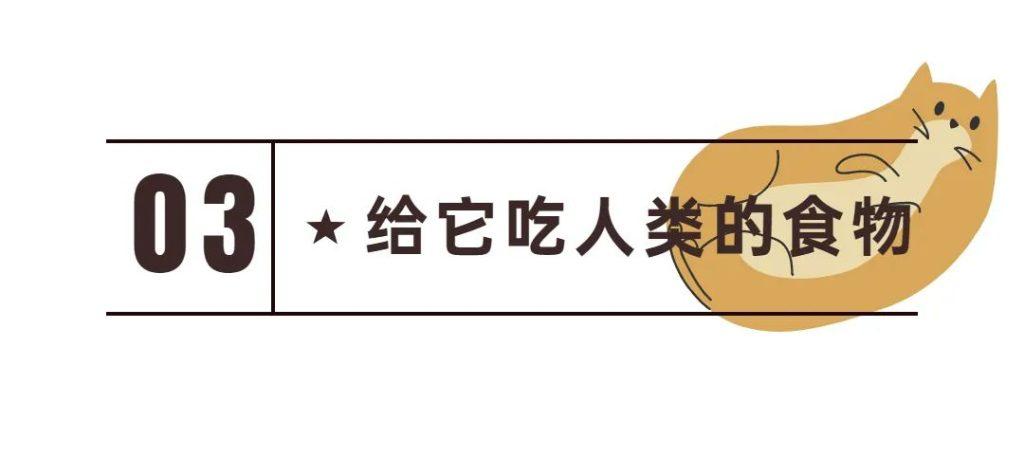 你有做过伤害猫咪的事情吗?以下8条看看你中了几条? 你有做过伤害猫咪的事情吗?以下8条看看你中了几条?