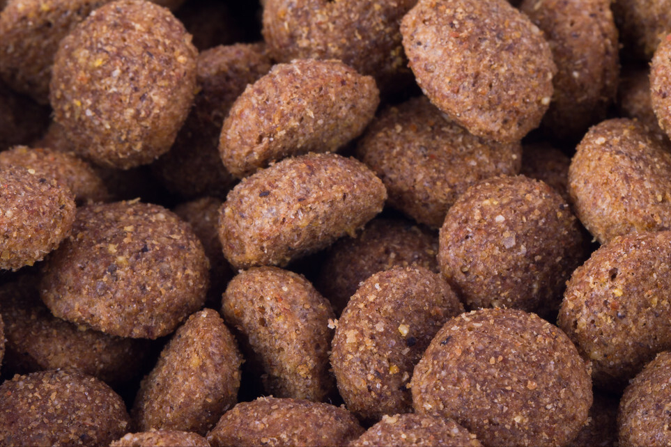 巨型贵宾犬挑食吃什么狗粮?主人可以尝试更换一款适口性更好 巨型贵宾犬挑食吃什么狗粮?主人可以尝试更换一款适口性更好