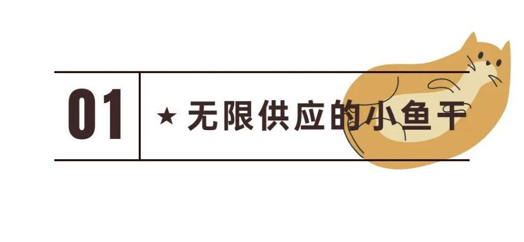 你有做过伤害猫咪的事情吗?以下8条看看你中了几条? 你有做过伤害猫咪的事情吗?以下8条看看你中了几条?