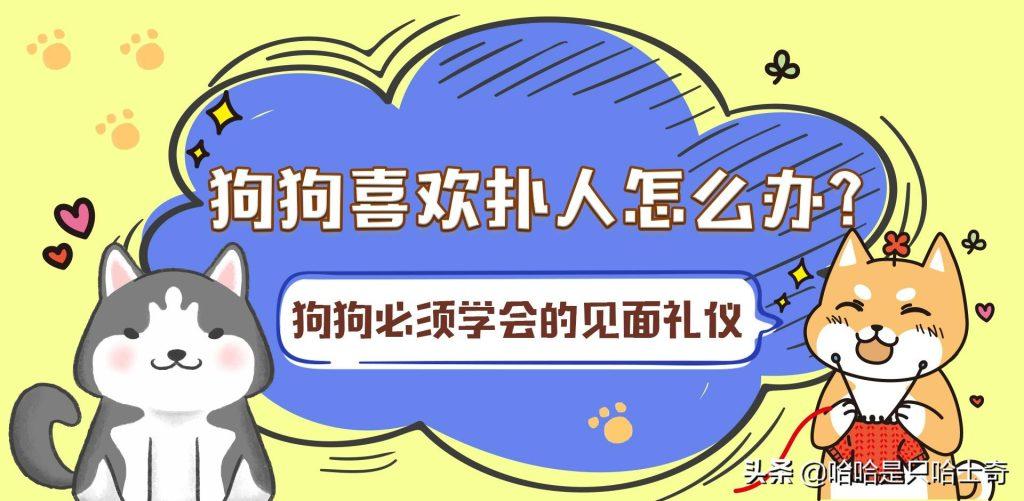 为什么狗狗见人就扑?一招就让狗狗做到文明有礼貌 为什么狗狗见人就扑?一招就让狗狗做到文明有礼貌