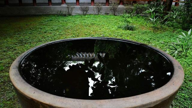 如果大量换水导致观赏鱼出现病态,怎么做为好?尝试这6个方法 如果大量换水导致观赏鱼出现病态,怎么做为好?尝试这6个方法