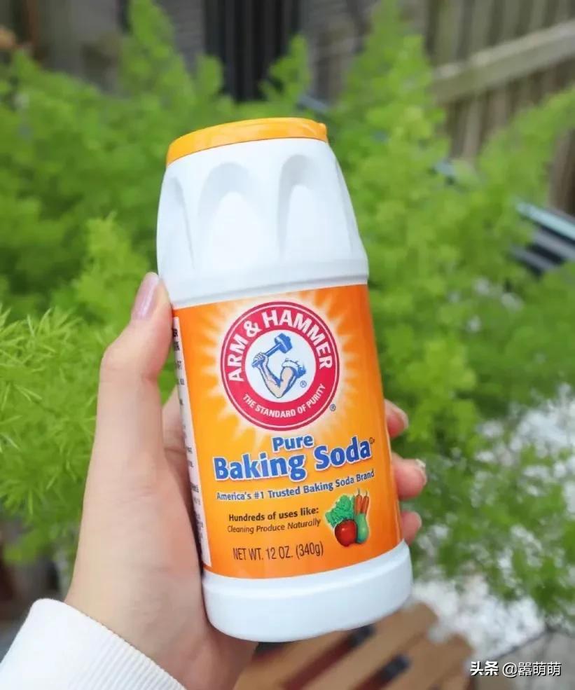宠物家庭必用的6种除异味小妙招,可参考借鉴 宠物家庭必用的6种除异味小妙招,可参考借鉴