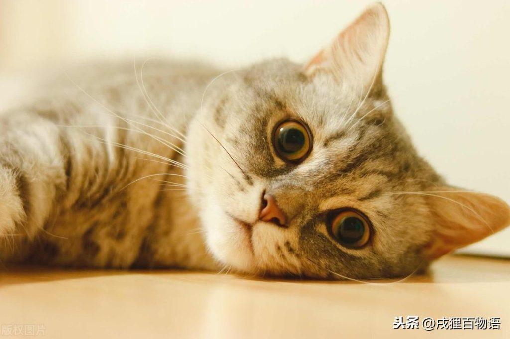黑下巴到底是什么原因引起的?该怎么解决呢? 黑下巴到底是什么原因引起的?该怎么解决呢?
