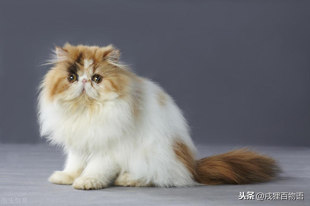 黑下巴到底是什么原因引起的?该怎么解决呢? 黑下巴到底是什么原因引起的?该怎么解决呢?