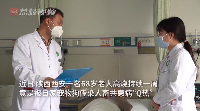 高烧一周、腹痛、黑便！陕西一68岁老人被自家狗传染Q热