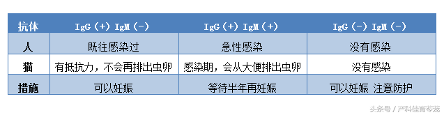 弓形虫到底是什么？弓形虫有什么危害？孕期怎么预防？