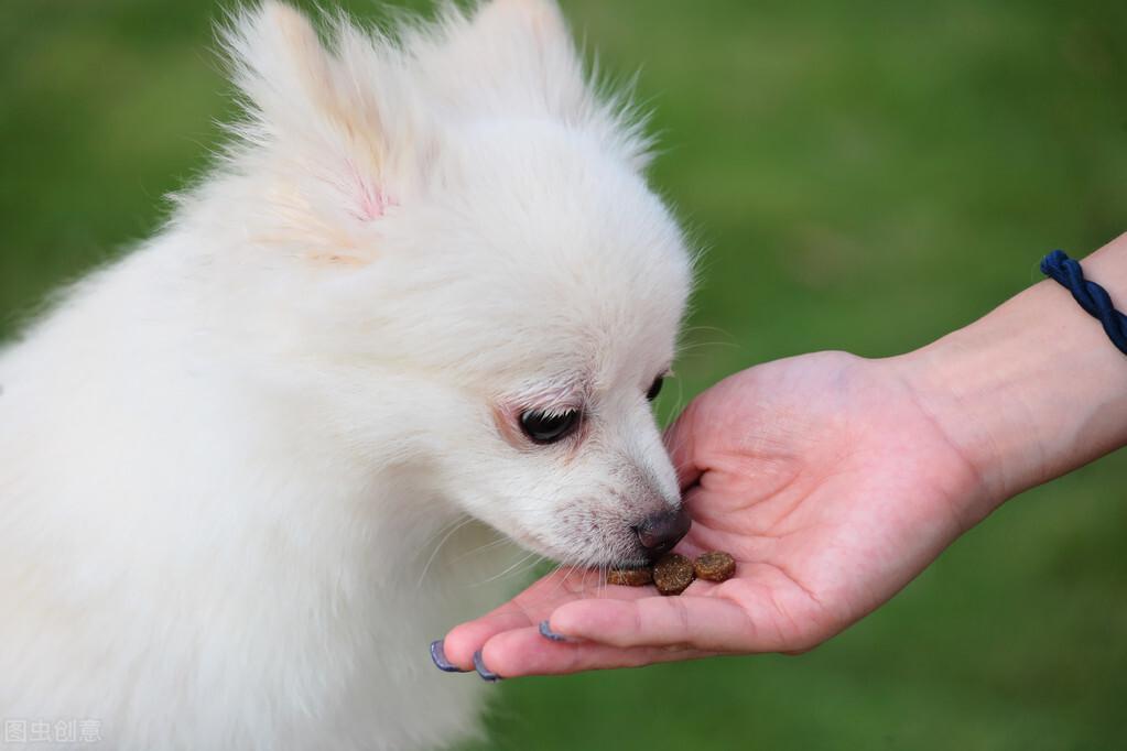 博美犬为什么泪痕总是很重?如何去掉泪痕?告诉你如何去泪痕 博美犬为什么泪痕总是很重?如何去掉泪痕?告诉你如何去泪痕