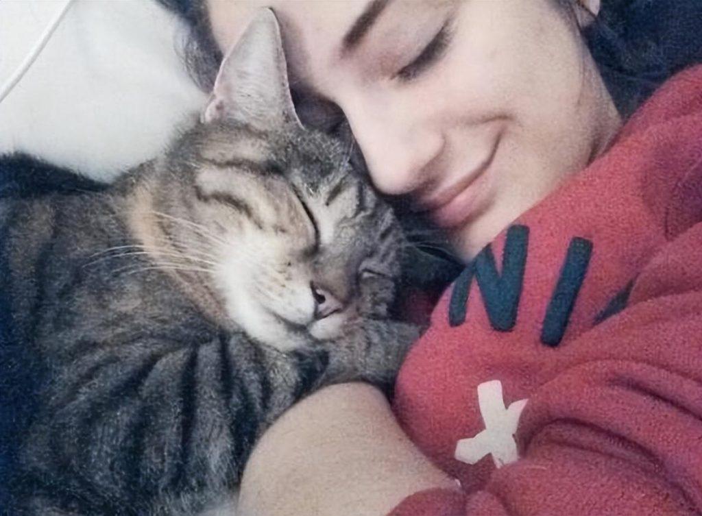 你的狸花猫喜欢和你贴贴睡觉吗？这些原因你想过吗？