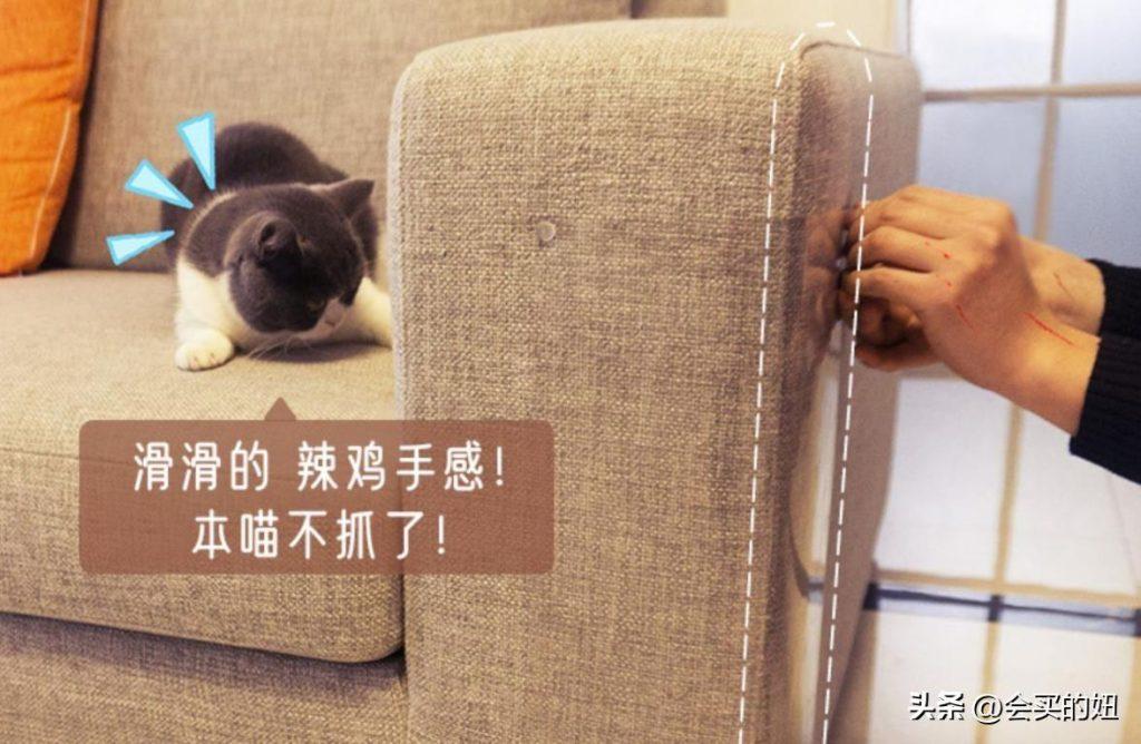 怎么挑选一款抗猫抓狗刨的沙发？挑选沙发的经验分享