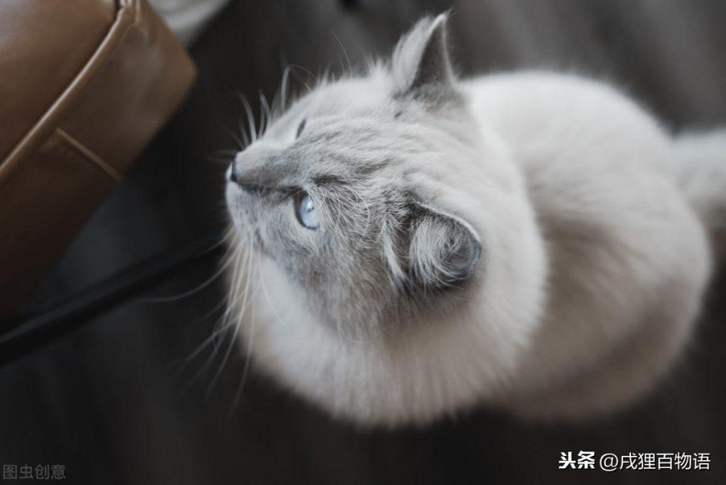 黑下巴到底是什么原因引起的?该怎么解决呢? 黑下巴到底是什么原因引起的?该怎么解决呢?