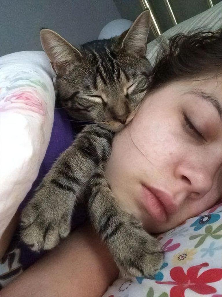 猫咪睡觉的这4个位置，暴露了对你的信任度，你家猫爱睡哪？