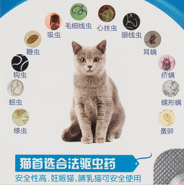 猫咪的驱虫药哪一款最好?体内外两用药不一定满足猫咪驱虫需求? 猫咪的驱虫药哪一款最好?体内外两用药不一定满足猫咪驱虫需求?