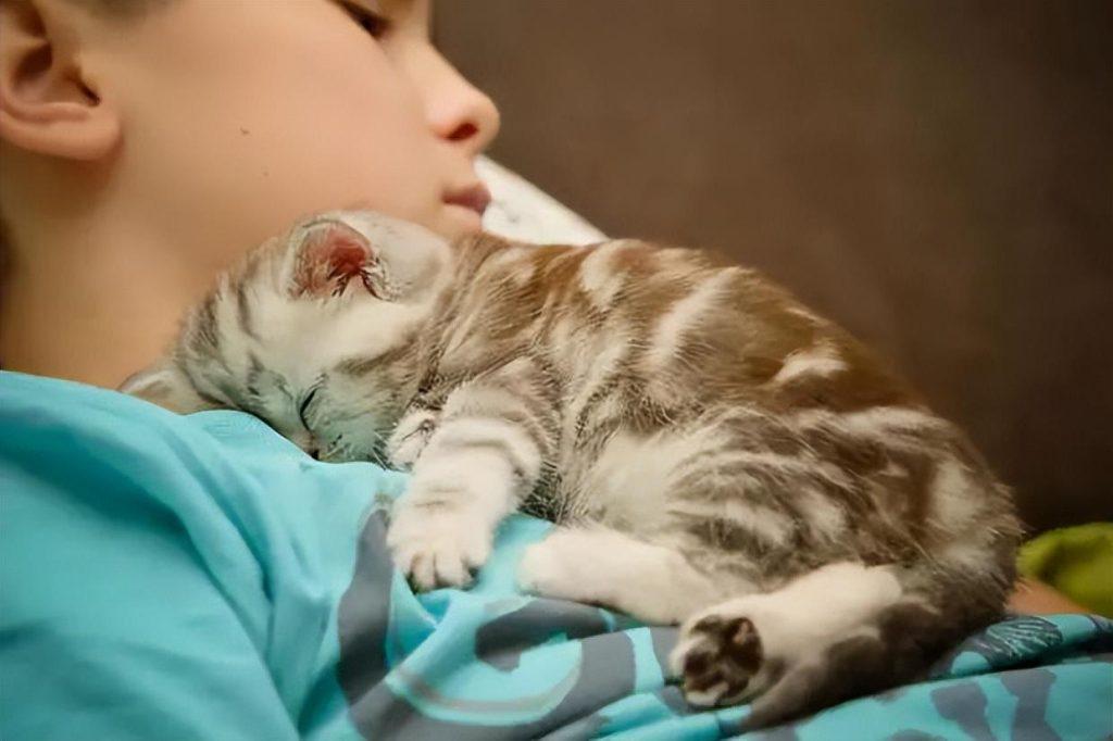 猫咪睡觉的这4个位置，暴露了对你的信任度，你家猫爱睡哪？