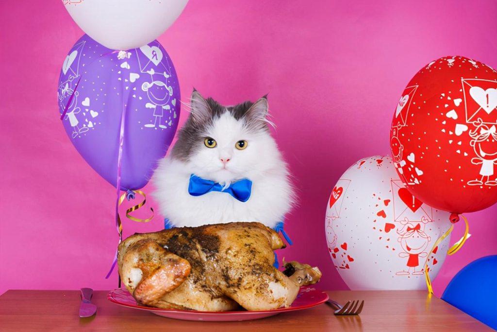 除了给猫咪吃猫粮，你还会给它吃什么？看看猫咪可以吃的5种肉