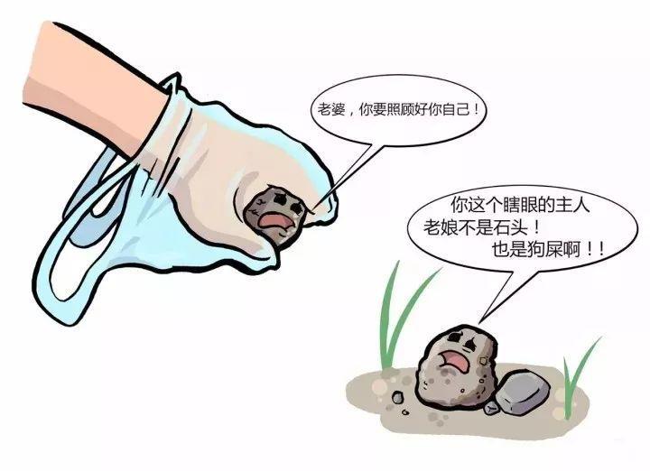 狗狗的便便直接反应狗狗的身体健康情况!藏在狗狗便便里的那些秘密 狗狗的便便直接反应狗狗的身体健康情况!藏在狗狗便便里的那些秘密
