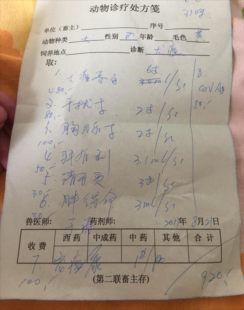买到病狗怎么办?网友花400块在网上买的萨摩耶,肠胃全是气泡! 买到病狗怎么办?网友花400块在网上买的萨摩耶,肠胃全是气泡!