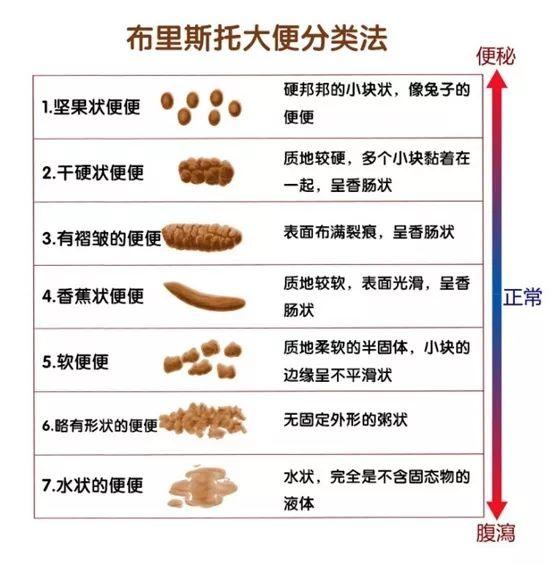 狗狗的便便直接反应狗狗的身体健康情况!藏在狗狗便便里的那些秘密 狗狗的便便直接反应狗狗的身体健康情况!藏在狗狗便便里的那些秘密