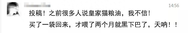 十几年来的争议:皇家猫粮究竟如何?(皇家猫粮算贵吗) 十几年来的争议:皇家猫粮究竟如何?(皇家猫粮算贵吗)