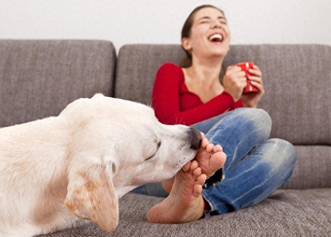 狗狗舔舐的五个含义：过度的舔舐，其实是狗狗向主人求助的信号（狗狗舔人是表示什么）